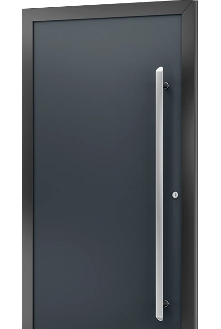 Prestige Line PL-66 alüminyum kapı paneli